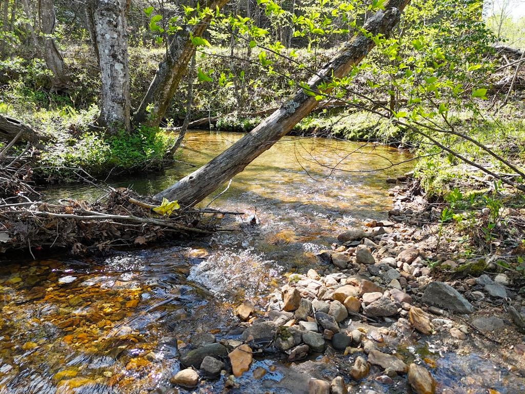 Blairsville, Georgia 30512, ,Acreage,For Sale,10587