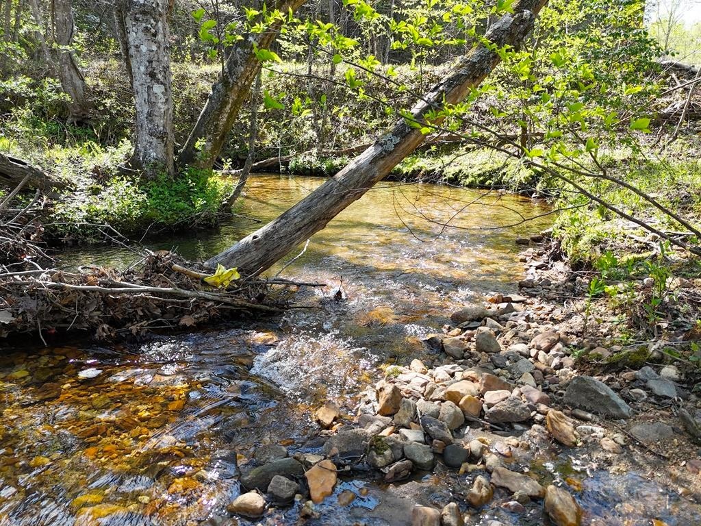Blairsville, Georgia 30512, ,Acreage,For Sale,10587