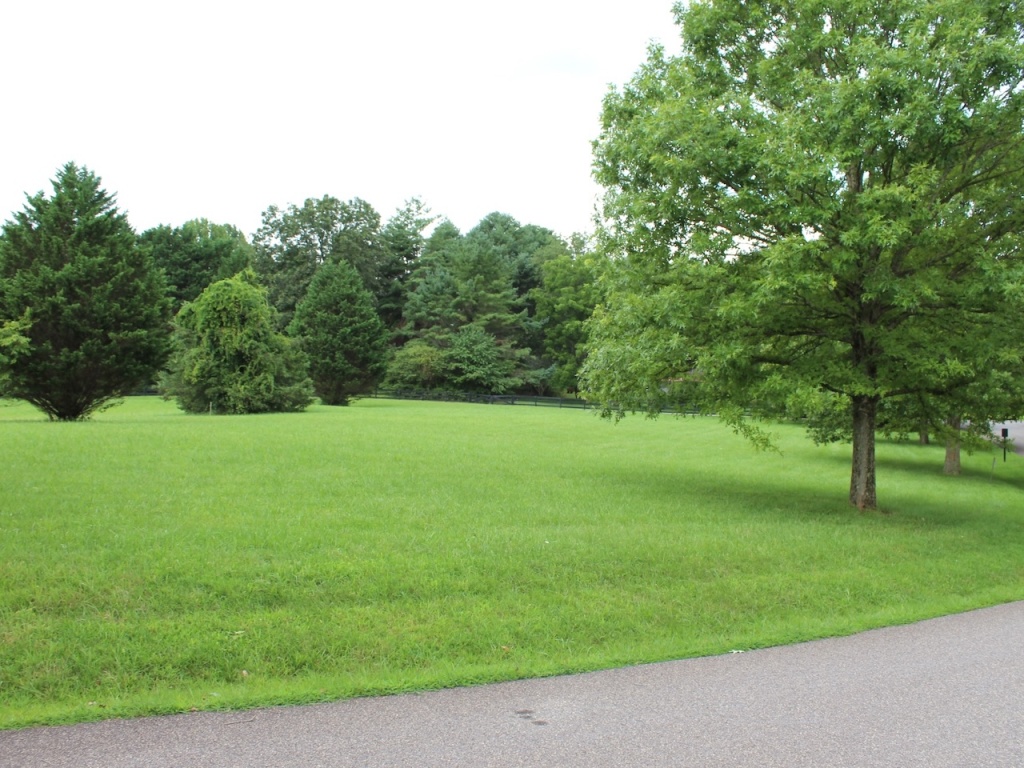 Hiawassee, Georgia 30546, ,Acreage,For Sale,10592