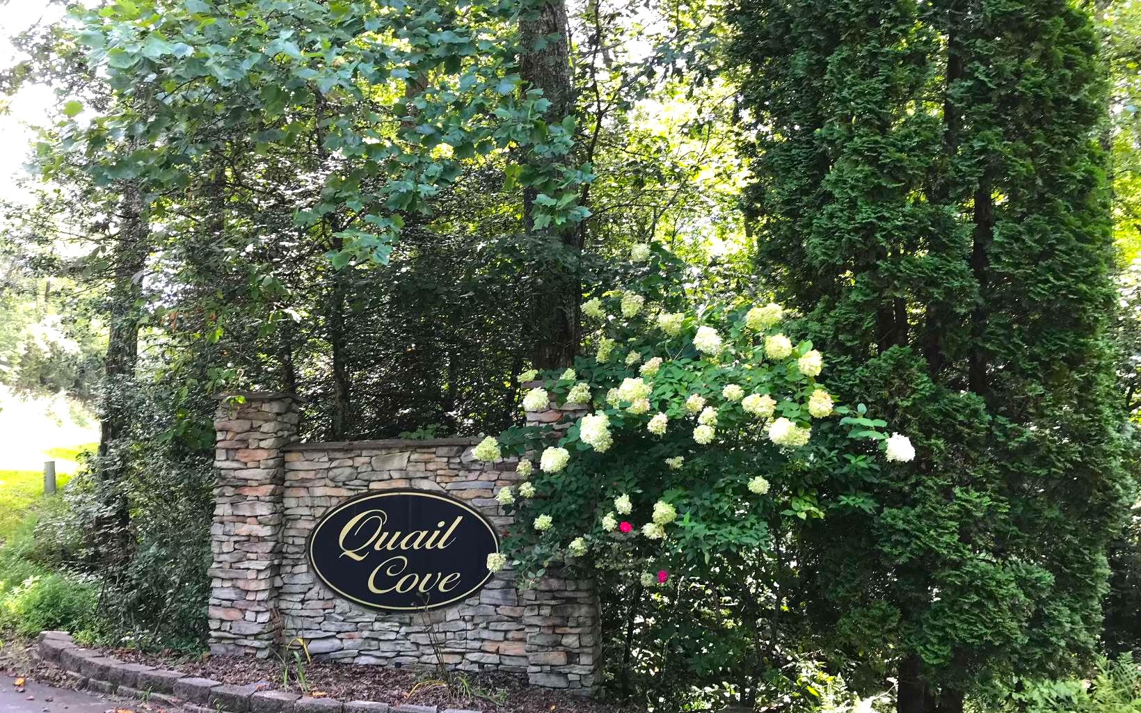 Warne, North Carolina 28909, ,Acreage,For Sale,10593