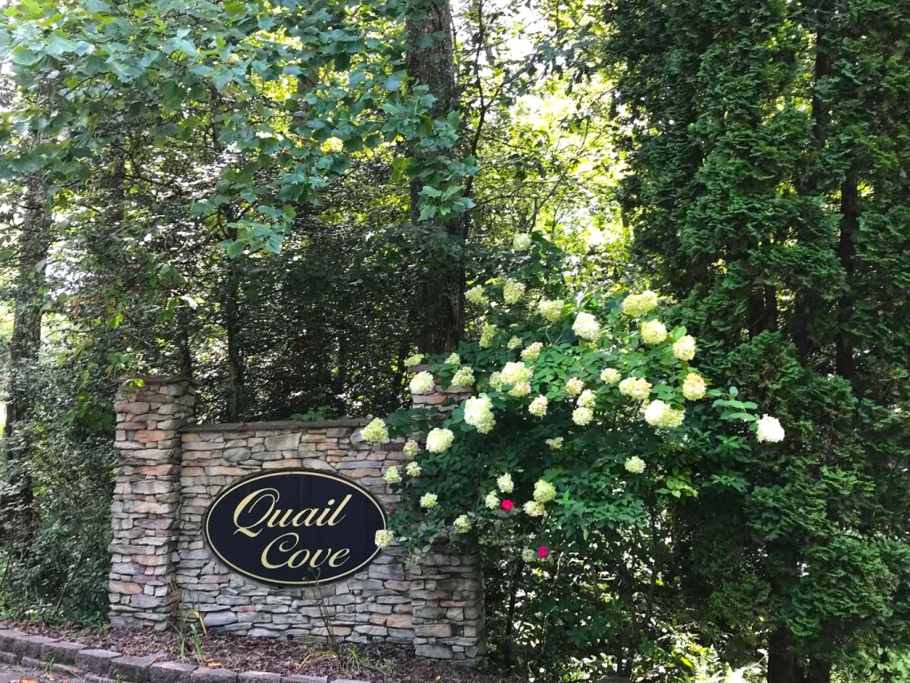 Warne, North Carolina 28909, ,Acreage,For Sale,10593