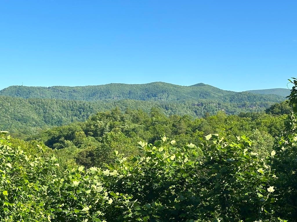 Blue Ridge, Georgia 30513, 5 Bedrooms Bedrooms, ,3 BathroomsBathrooms,Residential,For Sale,10606