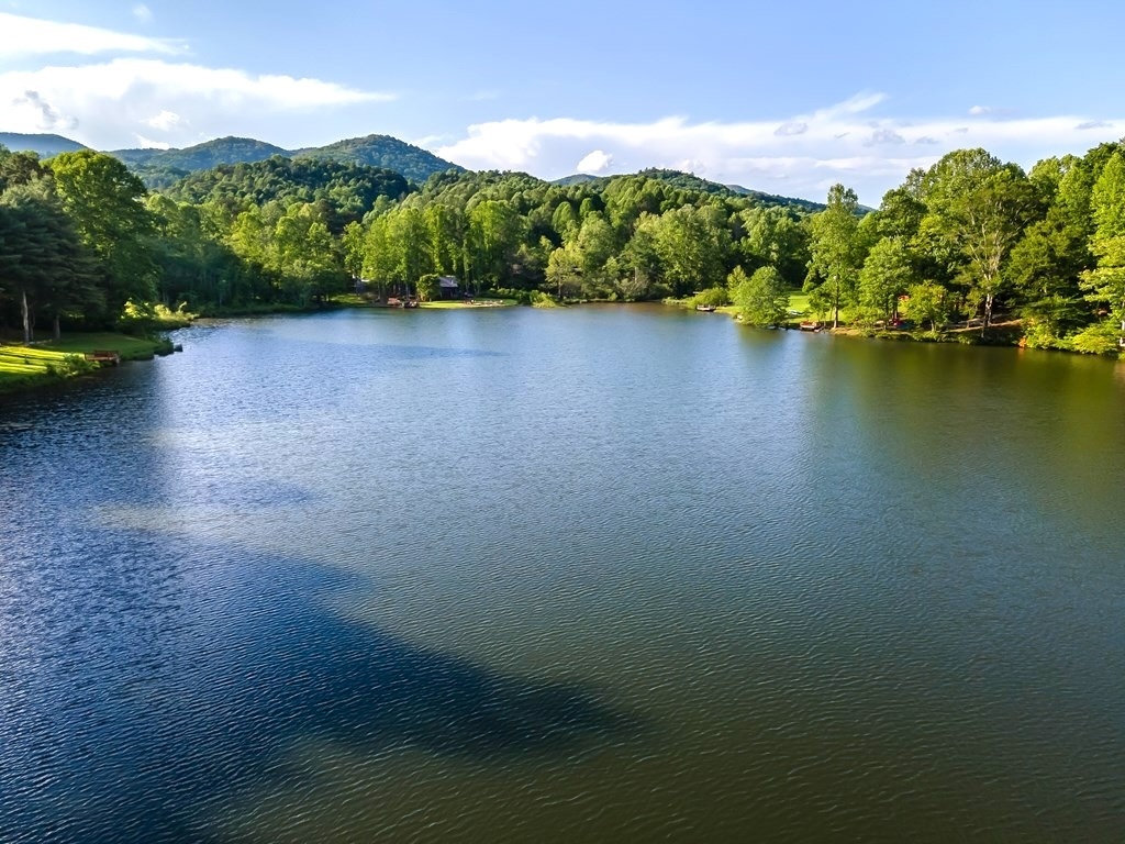 Ellijay, Georgia 30540, 2 Bedrooms Bedrooms, ,2 BathroomsBathrooms,Residential,For Sale,10607