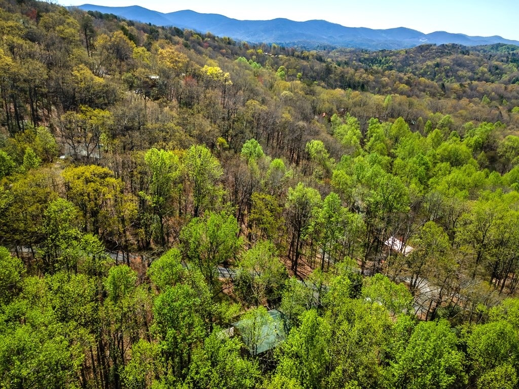 Cherry Log, Georgia 30522, 2 Bedrooms Bedrooms, ,2 BathroomsBathrooms,Residential,For Sale,10608
