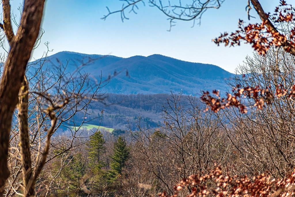 Morganton, Georgia 30560, ,Acreage,For Sale,10609