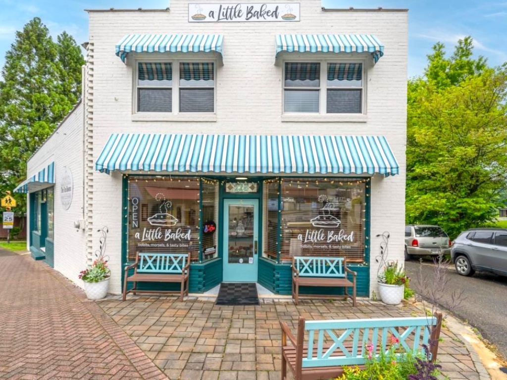 Ellijay, Georgia 30540, ,Commercial,For Sale,10614