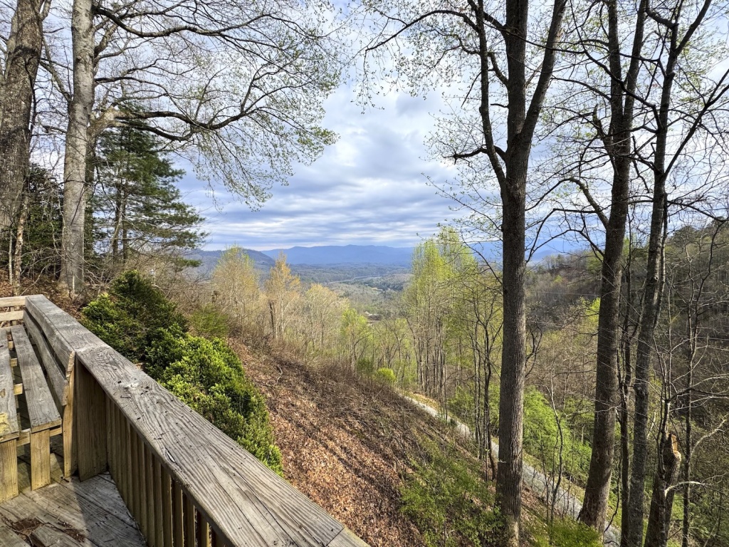 Bryson City, North Carolina 28713, 2 Bedrooms Bedrooms, ,2 BathroomsBathrooms,Residential,For Sale,10621
