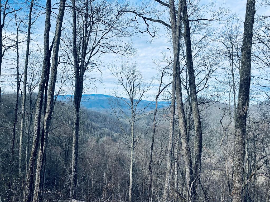 Bryson City, North Carolina 28713, ,Acreage,For Sale,10624