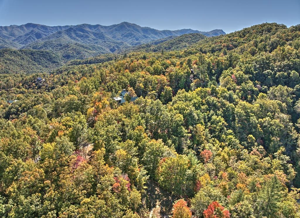 Bryson City, North Carolina 28713, ,Acreage,For Sale,10625