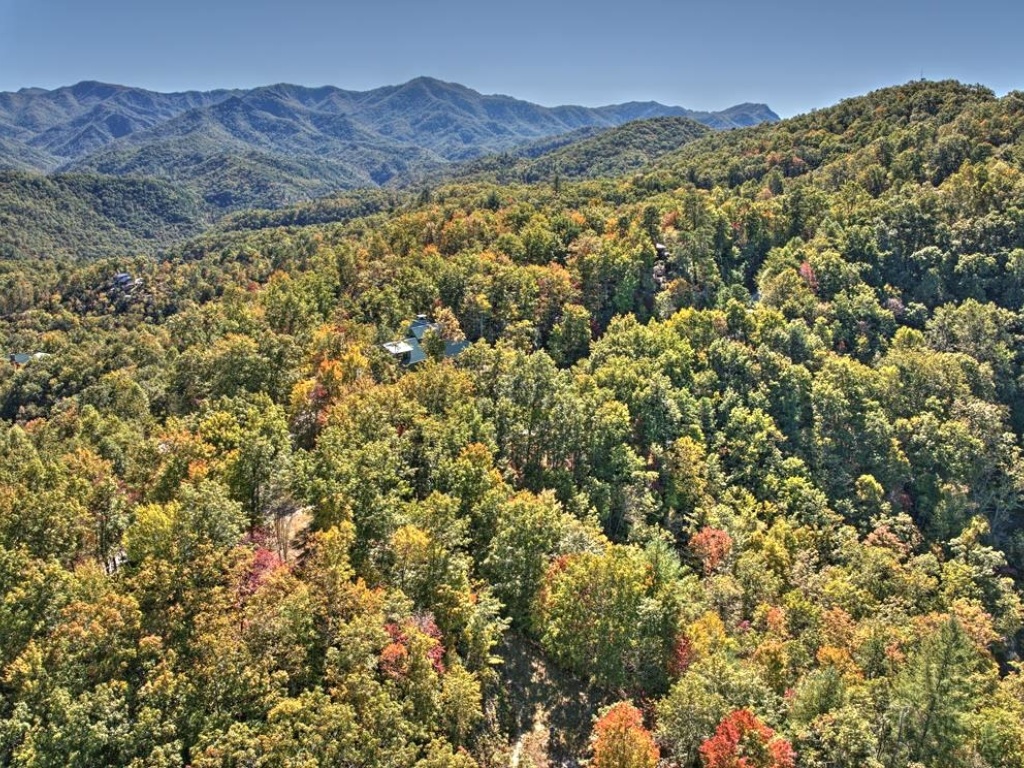 Bryson City, North Carolina 28713, ,Acreage,For Sale,10625