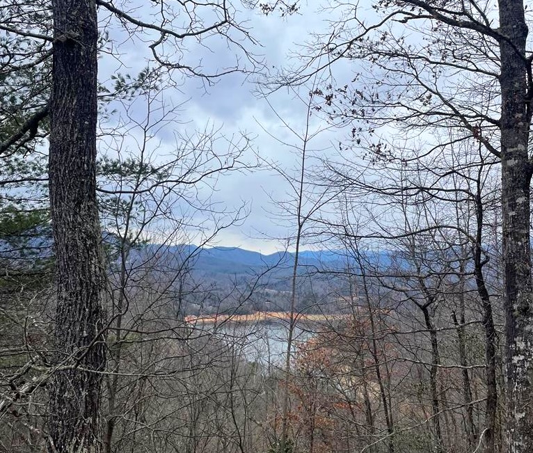 Bryson City, North Carolina 28713, ,Acreage,For Sale,10626