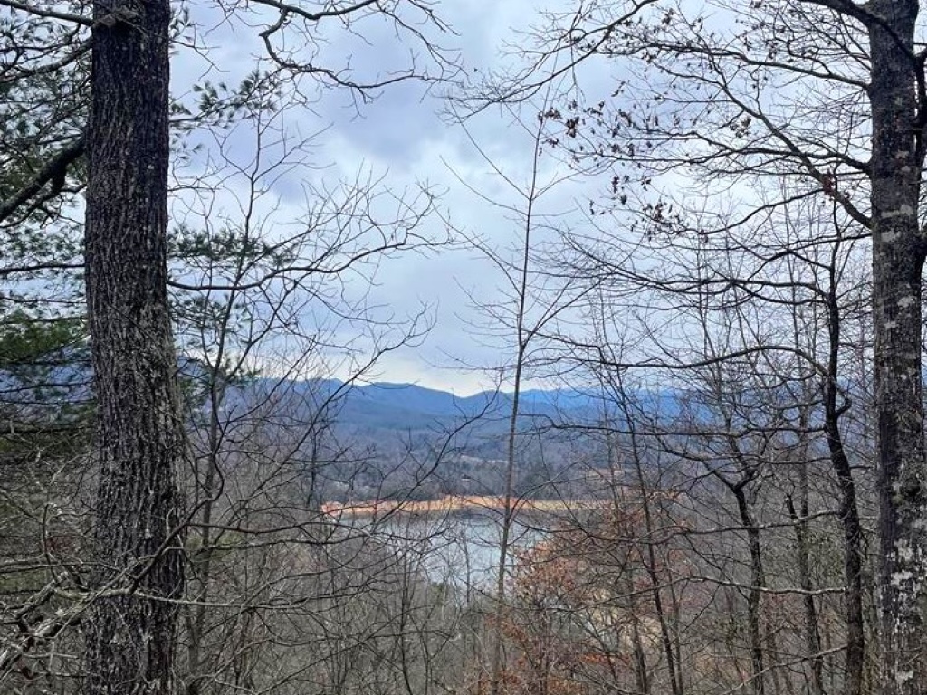 Bryson City, North Carolina 28713, ,Acreage,For Sale,10626
