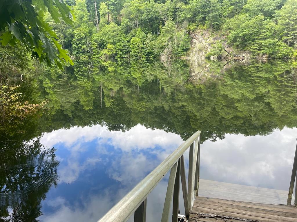 Tuckasegee, North Carolina 28783, ,Acreage,For Sale,10654