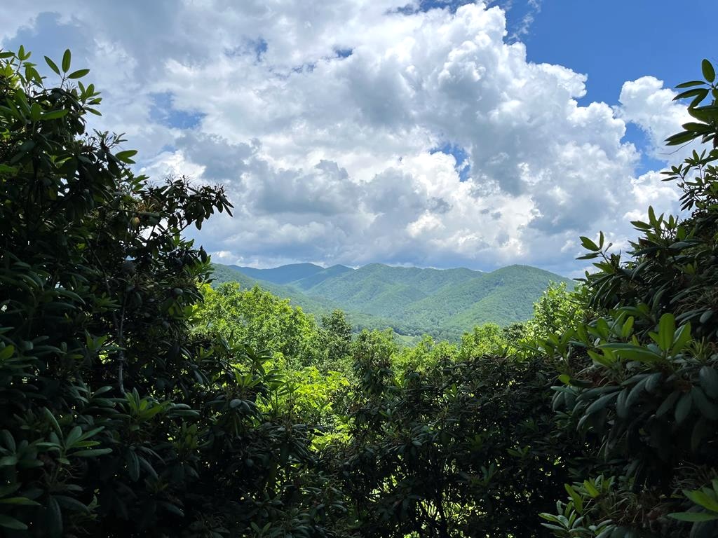 Bryson City, North Carolina 28713, ,Acreage,For Sale,10656