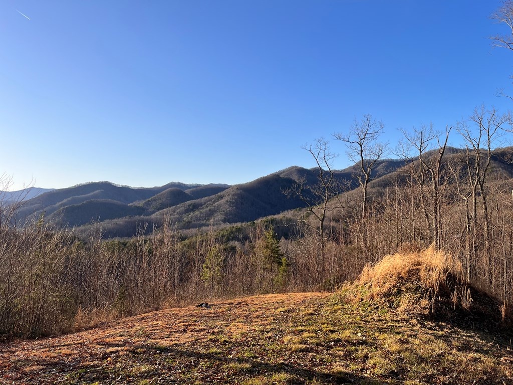 Bryson City, North Carolina 28713, ,Acreage,For Sale,10656
