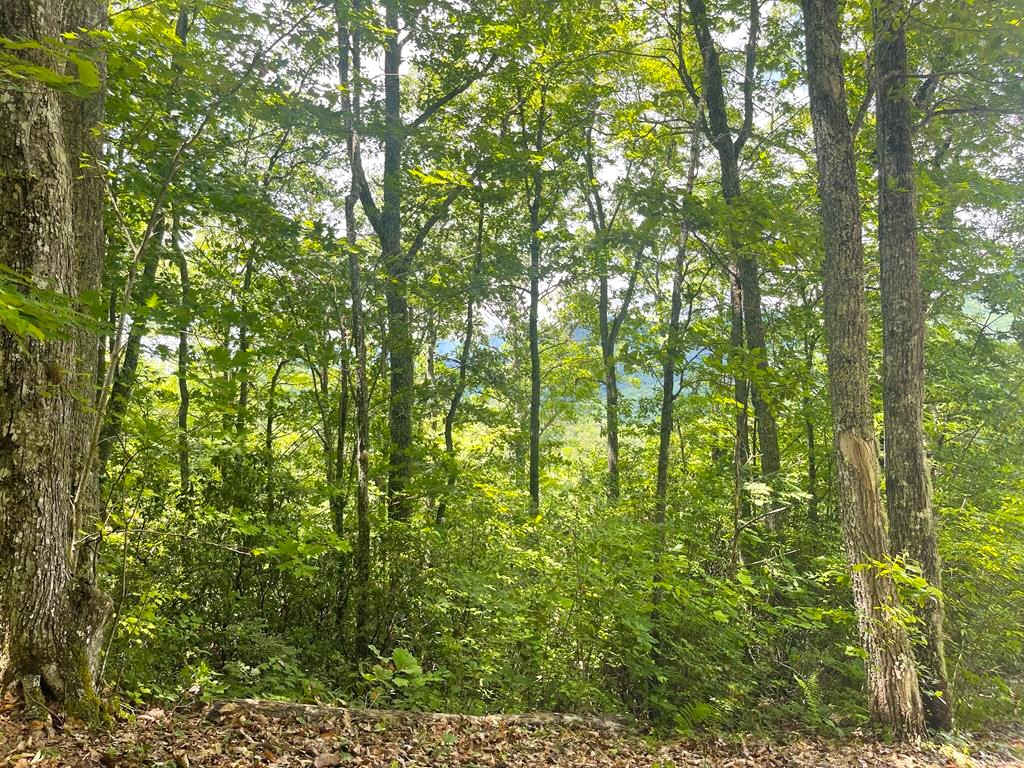 Bryson City, North Carolina 28713, ,Acreage,For Sale,10658