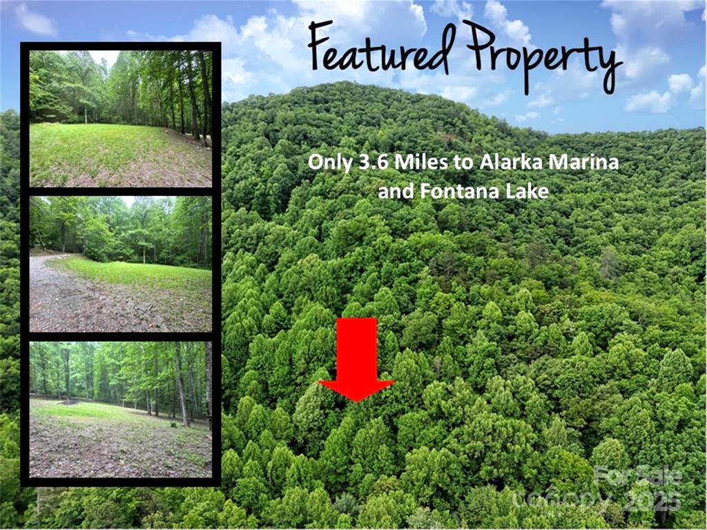 Bryson City, North Carolina 28713, ,Acreage,For Sale,10659