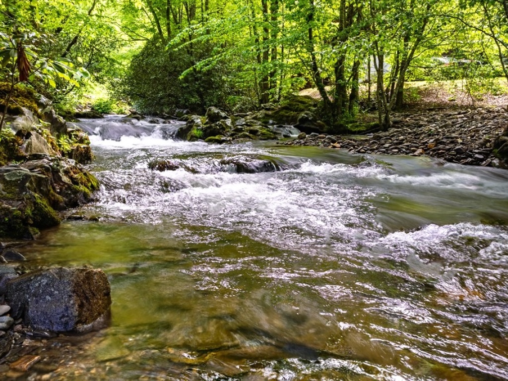 Bryson City, North Carolina 28713, 3 Bedrooms Bedrooms, ,2 BathroomsBathrooms,Residential,For Sale,10662
