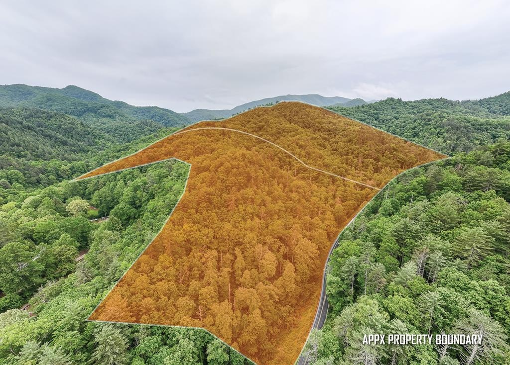 Almond, North Carolina 28702, ,Acreage,For Sale,10669