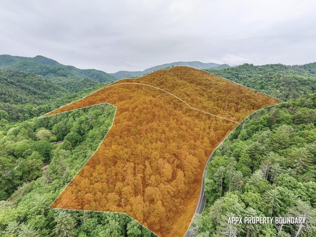 Almond, North Carolina 28702, ,Acreage,For Sale,10669