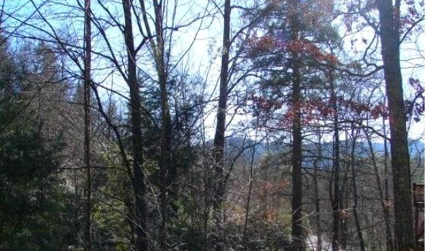 Sapphire, North Carolina 28774, ,Acreage,For Sale,10675