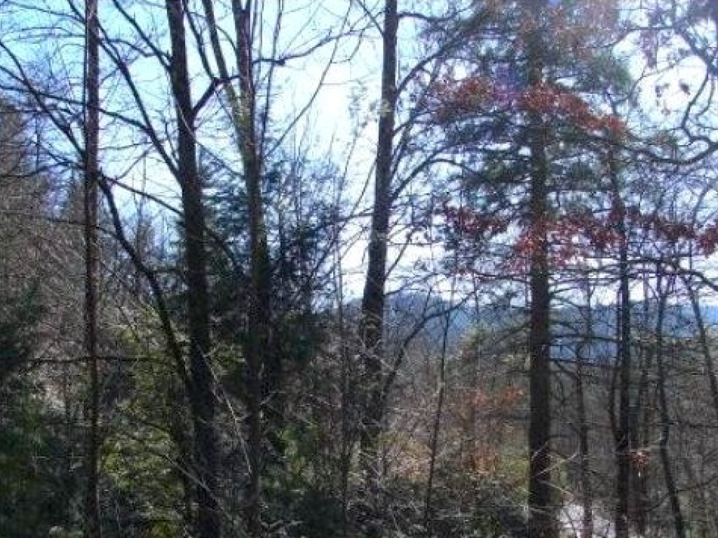 Sapphire, North Carolina 28774, ,Acreage,For Sale,10675