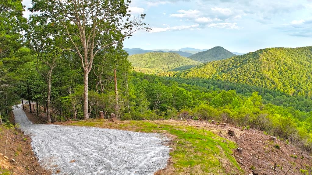 Franklin, North Carolina 28734, ,Acreage,For Sale,10681