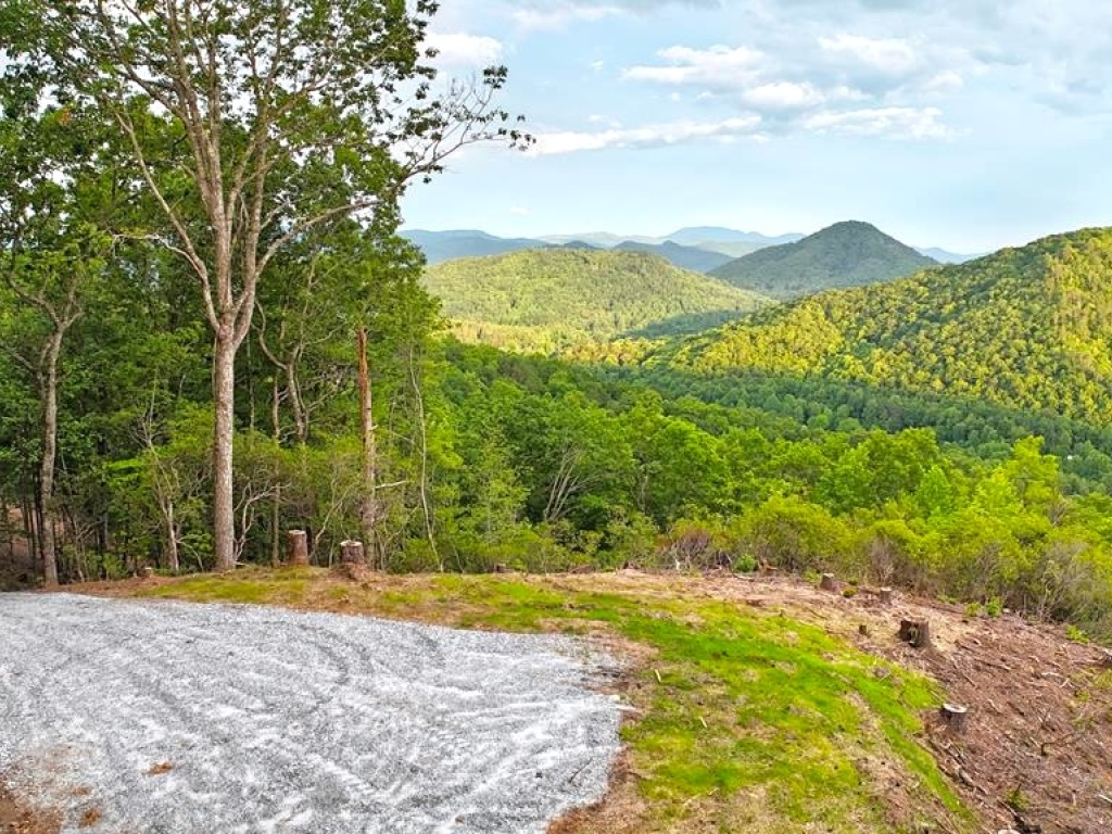 Franklin, North Carolina 28734, ,Acreage,For Sale,10681