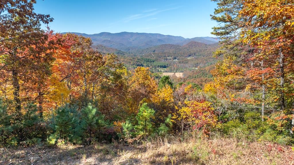 Franklin, North Carolina 28734, ,Acreage,For Sale,10682
