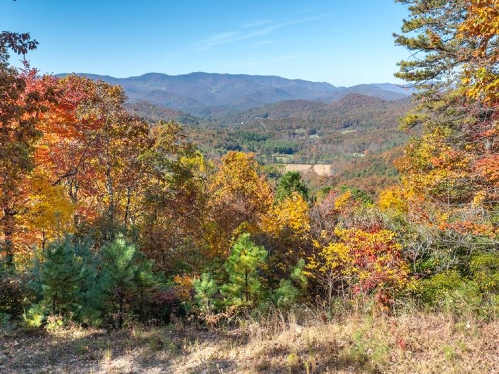 Franklin, North Carolina 28734, ,Acreage,For Sale,10682