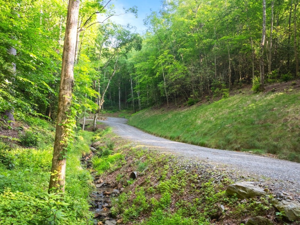 Franklin, North Carolina 28734, ,Acreage,For Sale,10690