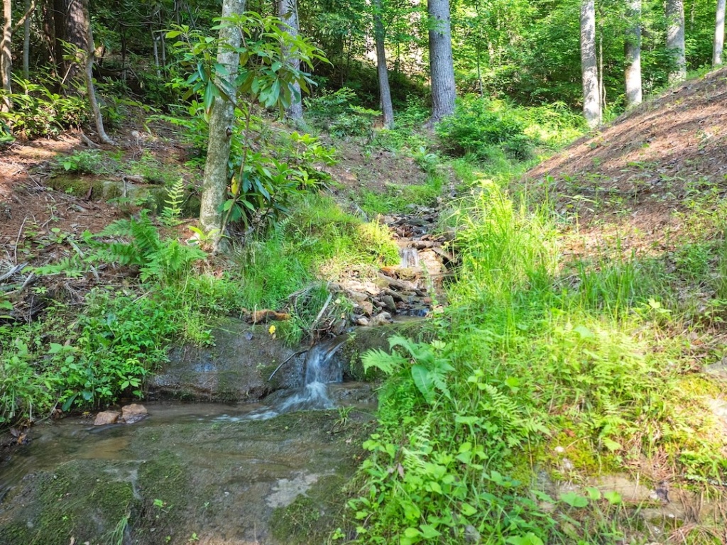 Franklin, North Carolina 28734, ,Acreage,For Sale,10690
