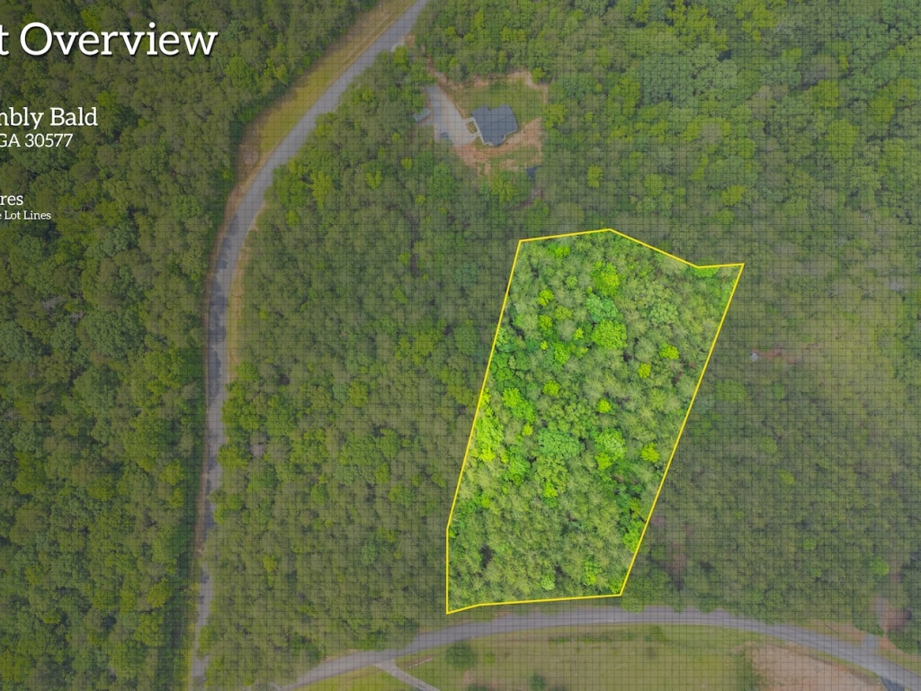 Toccoa, Georgia 30577, ,Acreage,For Sale,10712