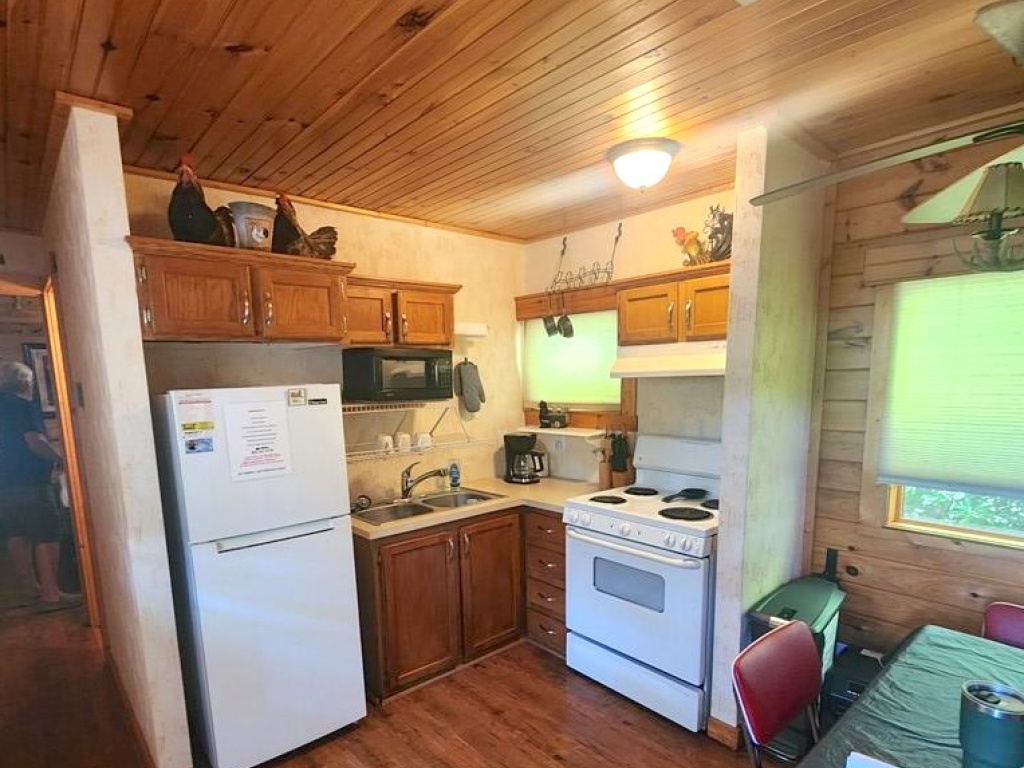 Bryson City, North Carolina 28713, 2 Bedrooms Bedrooms, ,1 BathroomBathrooms,Residential,For Sale,10721