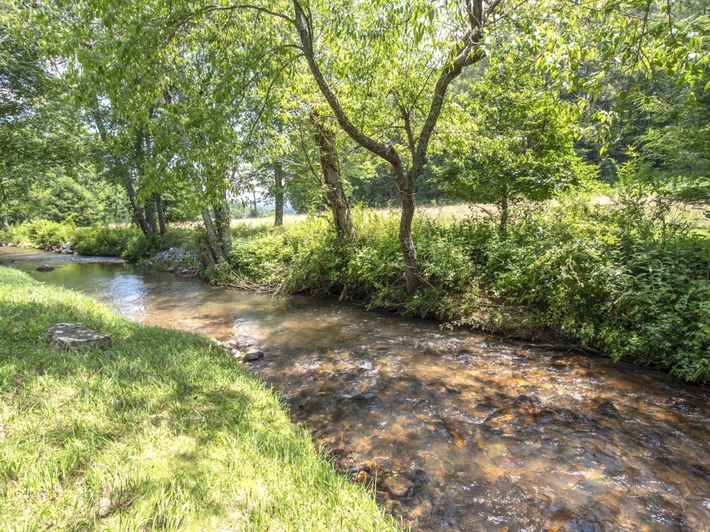 Warne, North Carolina 28909, ,Residential,For Sale,10745